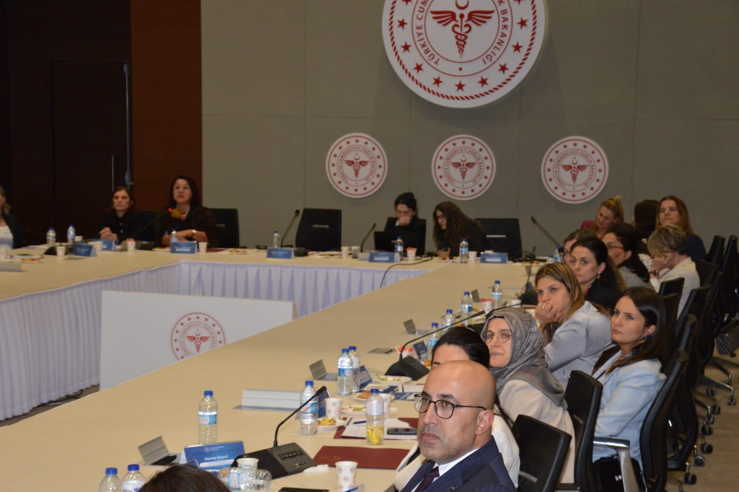 HEPDAK, Sağlık Bakım Hizmetlerini Güçlendirme ve Geliştirme Komisyonunda Yer Aldı